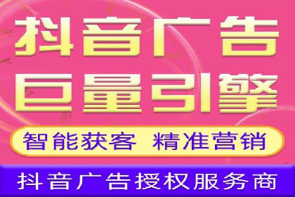 行业领先企业的SEM广告策略与效果分析
